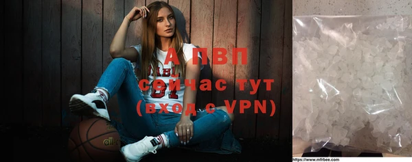 стафф Аркадак