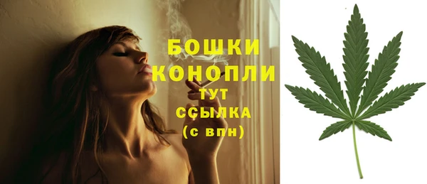 ПСИЛОЦИБИНОВЫЕ ГРИБЫ Абдулино