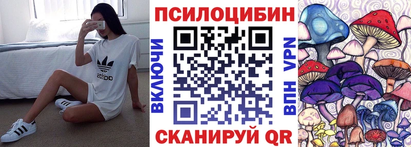 наркота  Цивильск  Псилоцибиновые грибы Psilocybe 